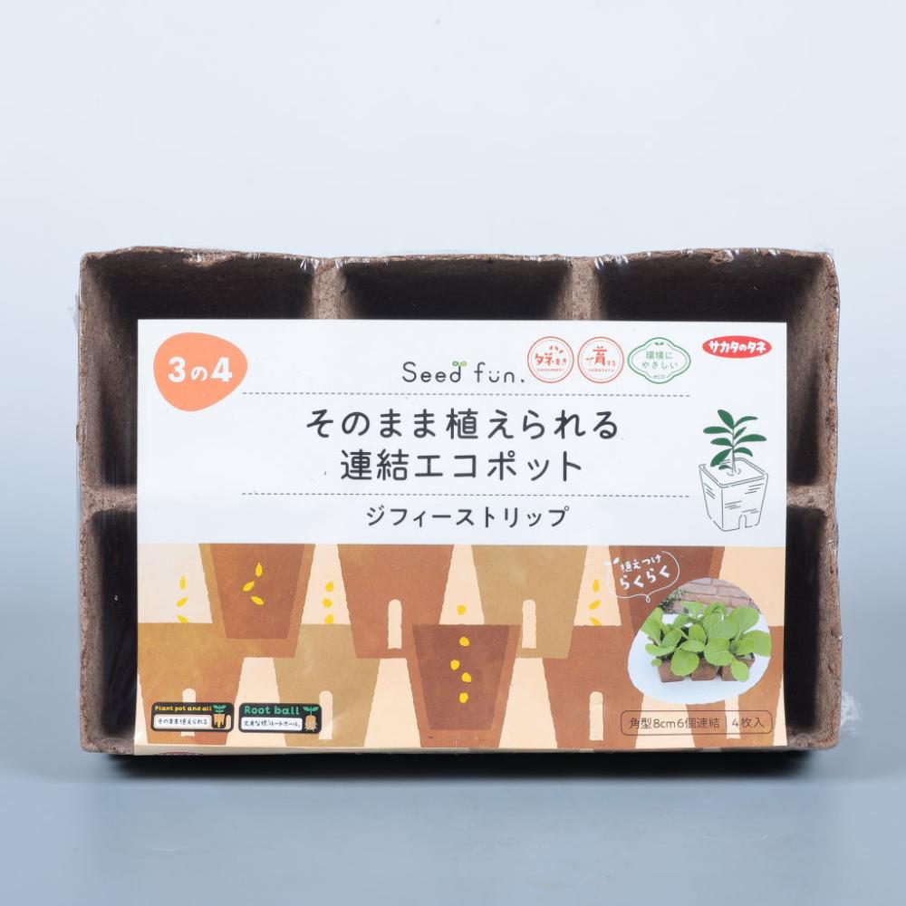 サカタのタネ そのまま植えられるエコポット ジフィーストリップ角型8cm 6個連結 4枚入り