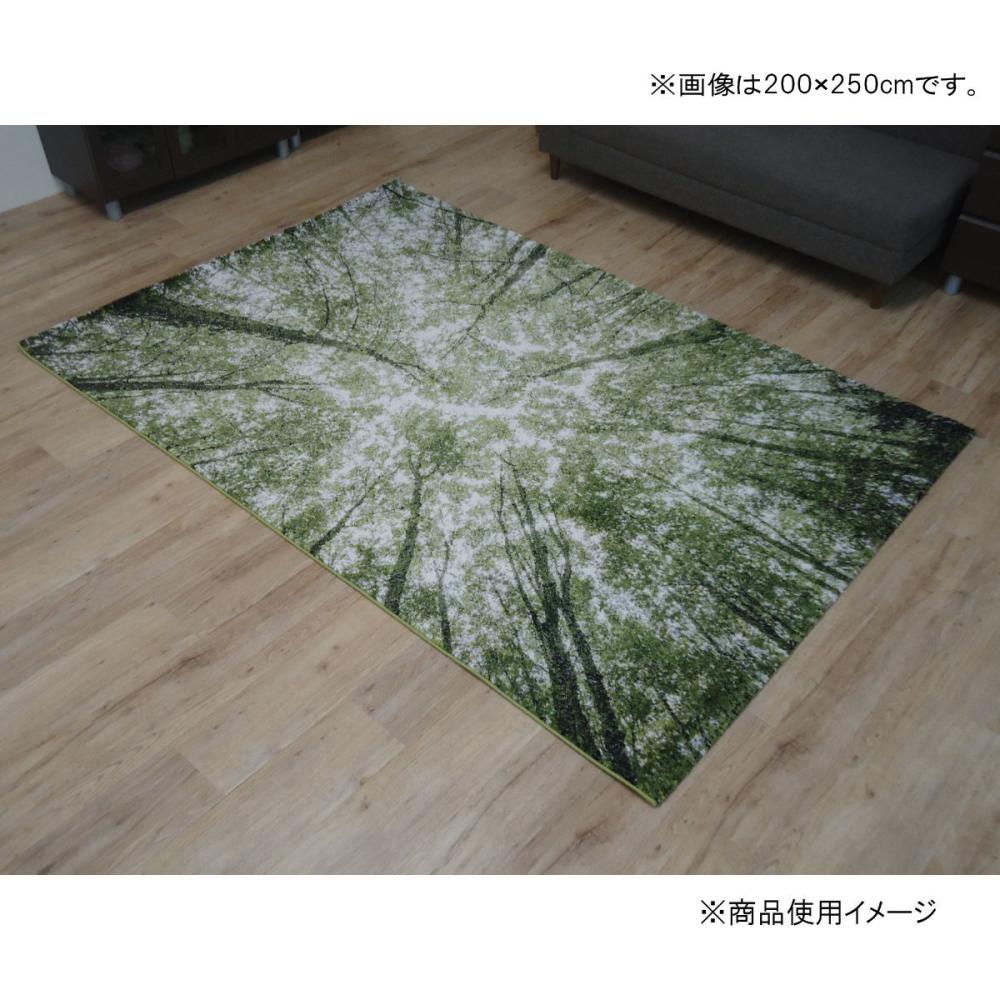 イケヒコ　ウィルトンカーペット　ガイア　１３３×１９０ｃｍ