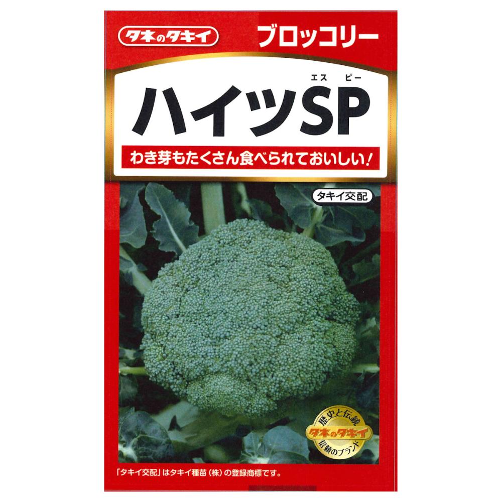ブロッコリー種子　ハイツＳＰ