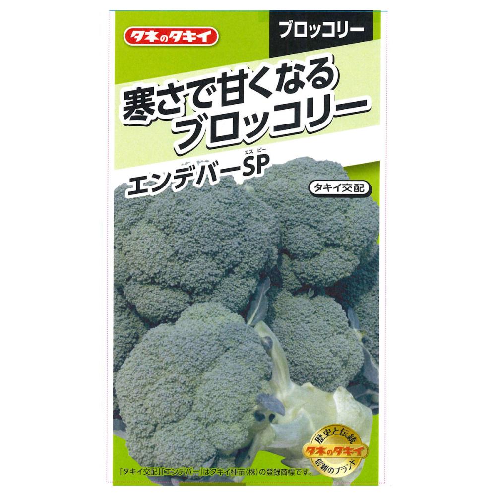寒さで甘くなるブロッコリー　エンデバーＳＰ