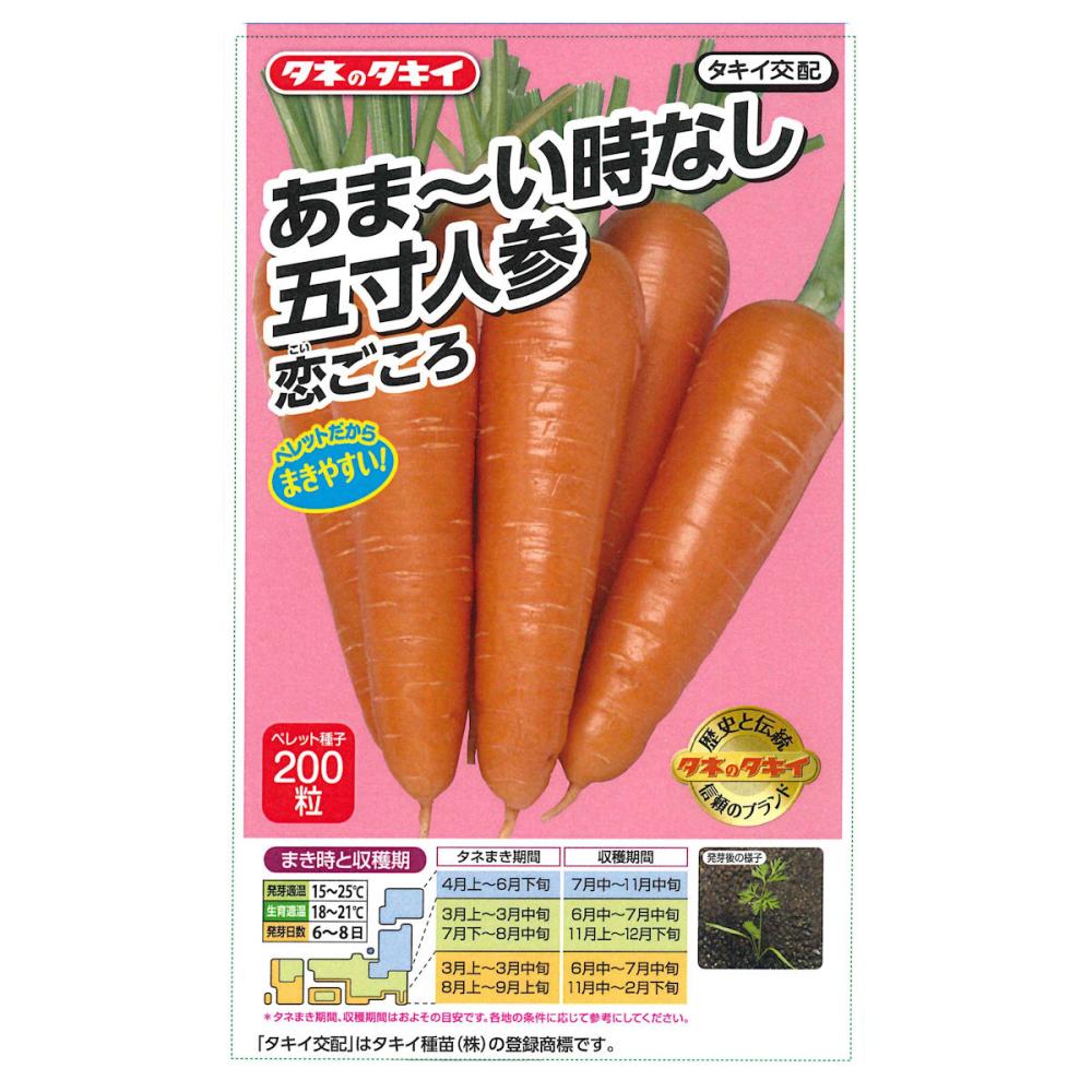ninnin人参さま専用 Amazon | サカタのタネ 実咲野菜5690 時なし五寸 ニンジン (徳用