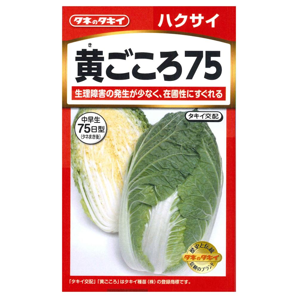 黄ごころ７５