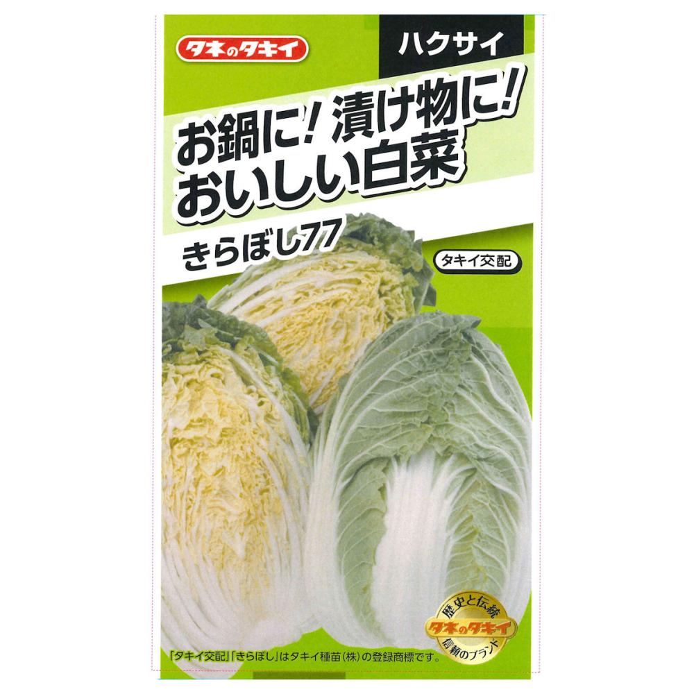 お鍋に！漬物に！おいしい白菜 きらぼし７７ の通販 ホームセンター コメリドットコム