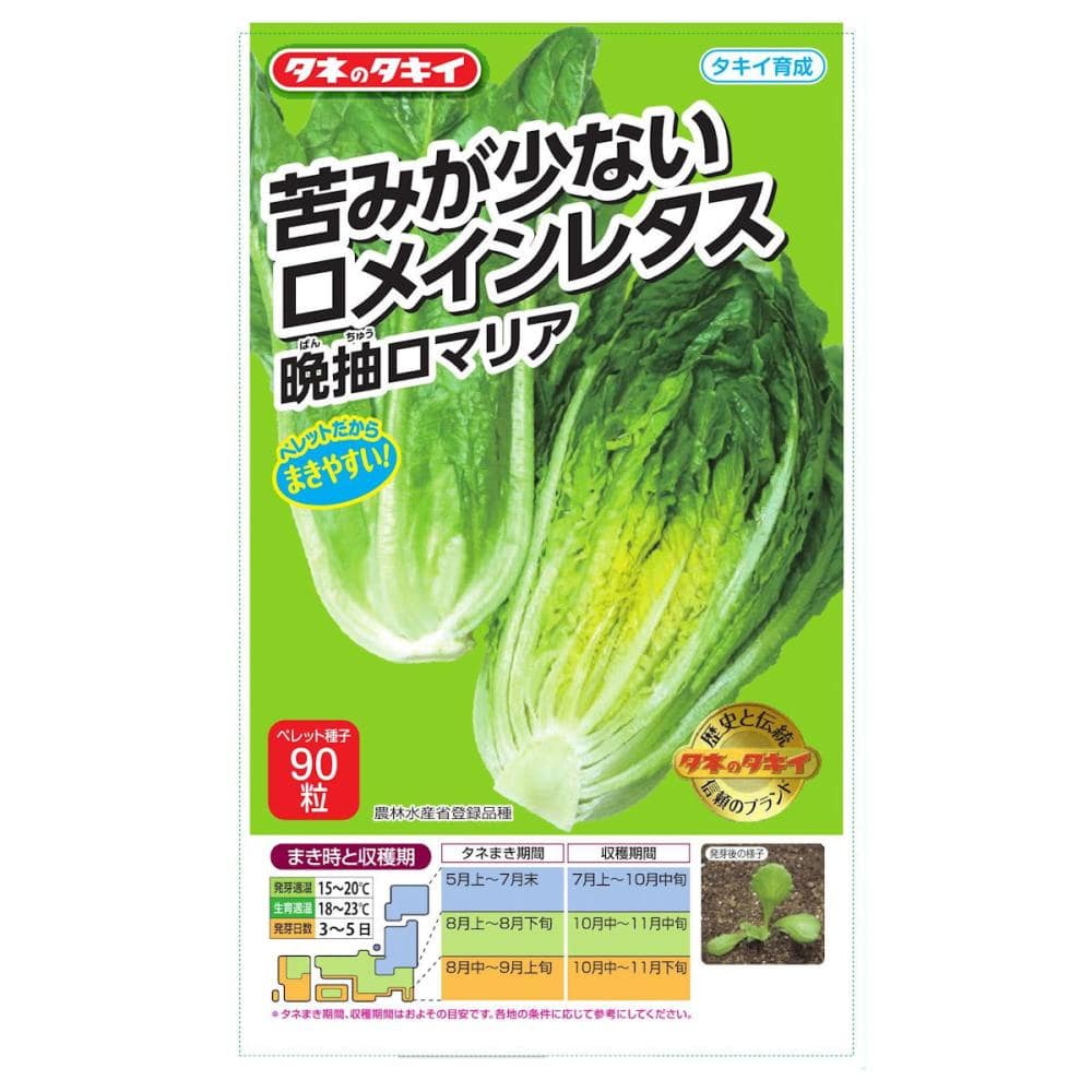苦みが少ないロメインレタス　晩抽ロマリア