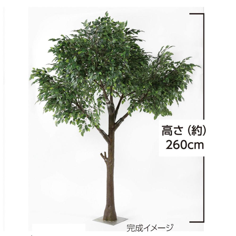 【大型人工観葉植物】シンボルツリー　ベンジャミン　高さ２．６ｍ