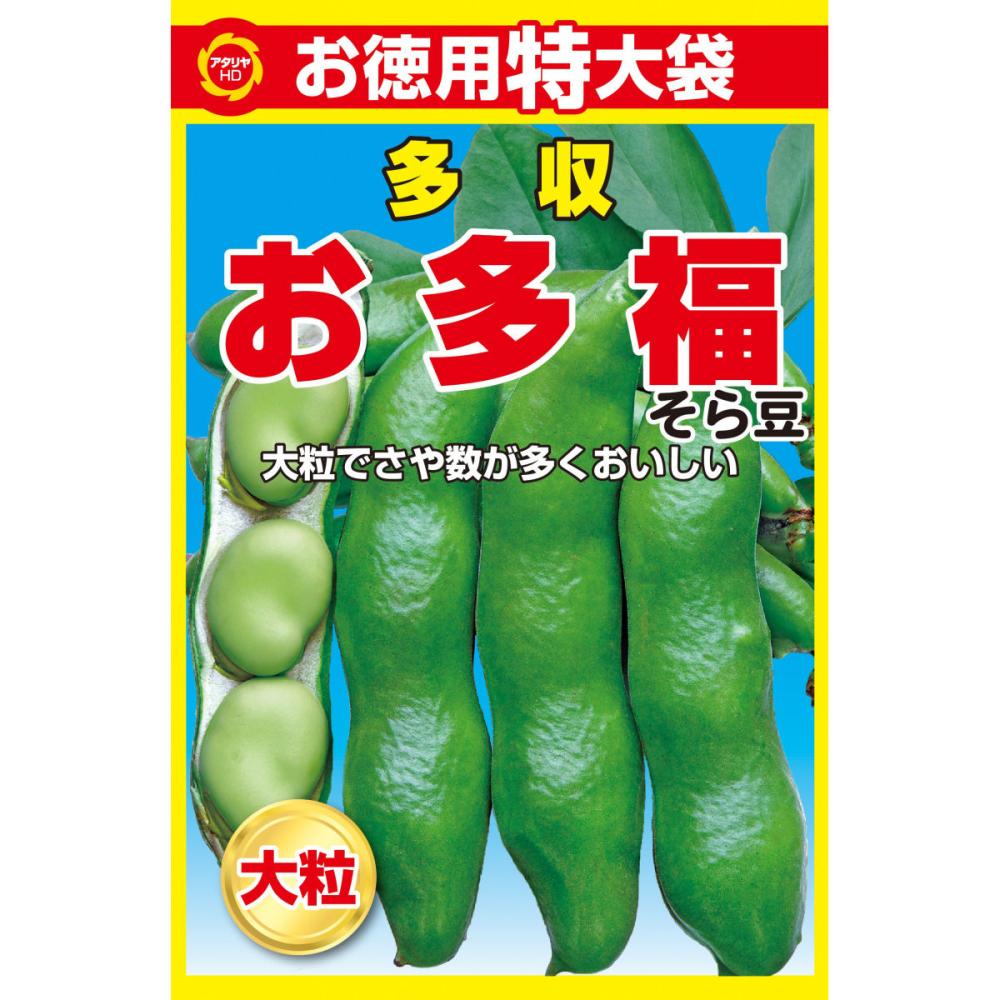ソラマメ種子 春まき そら豆 一寸法師 の通販 | ホームセンター