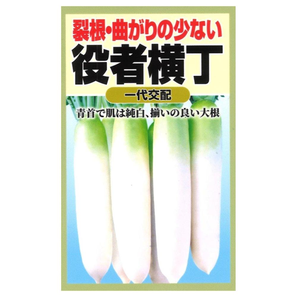 役者横町大根