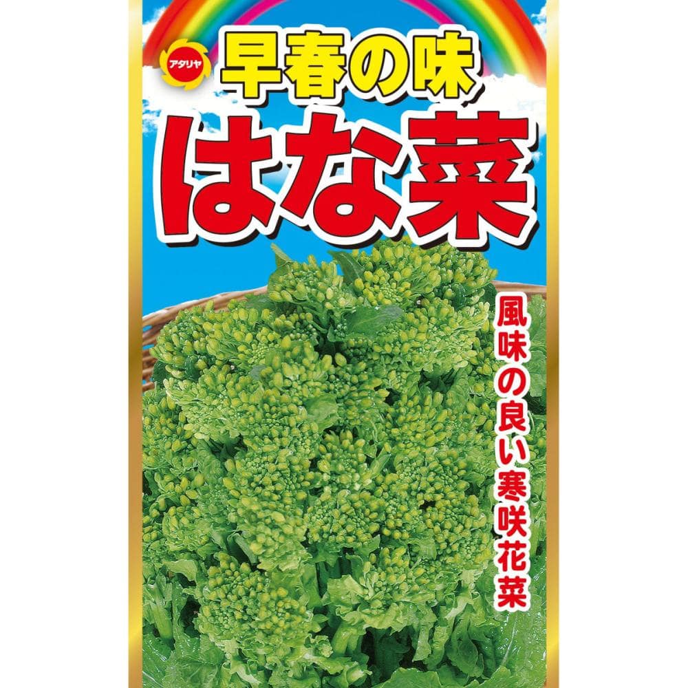 花菜
