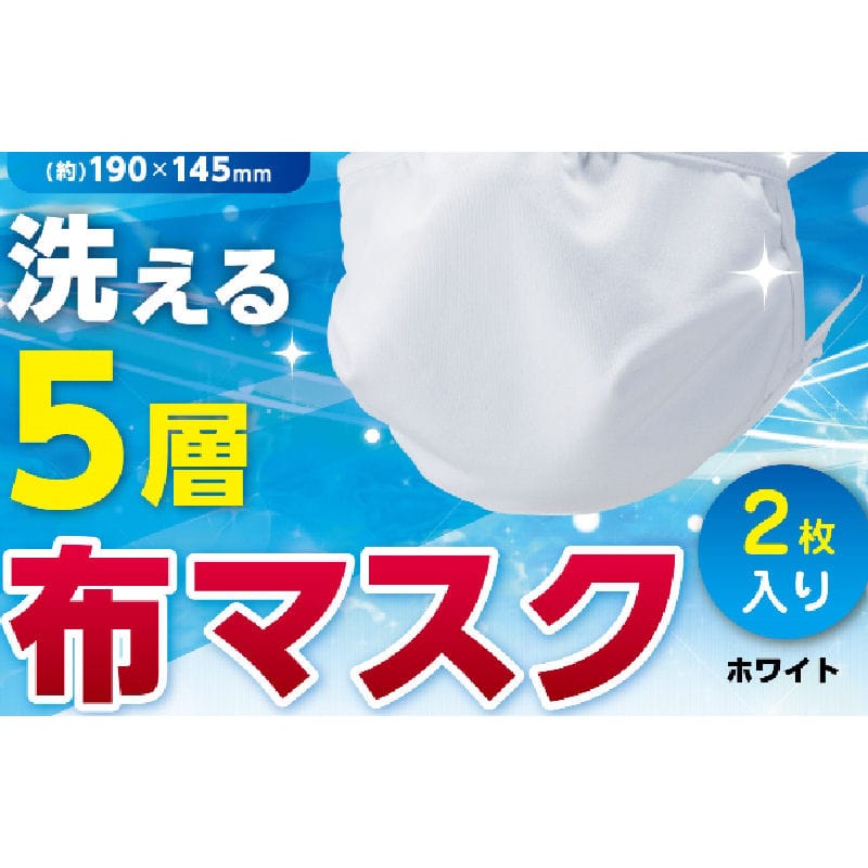 コメリ　洗える５層布マスク　２枚入り