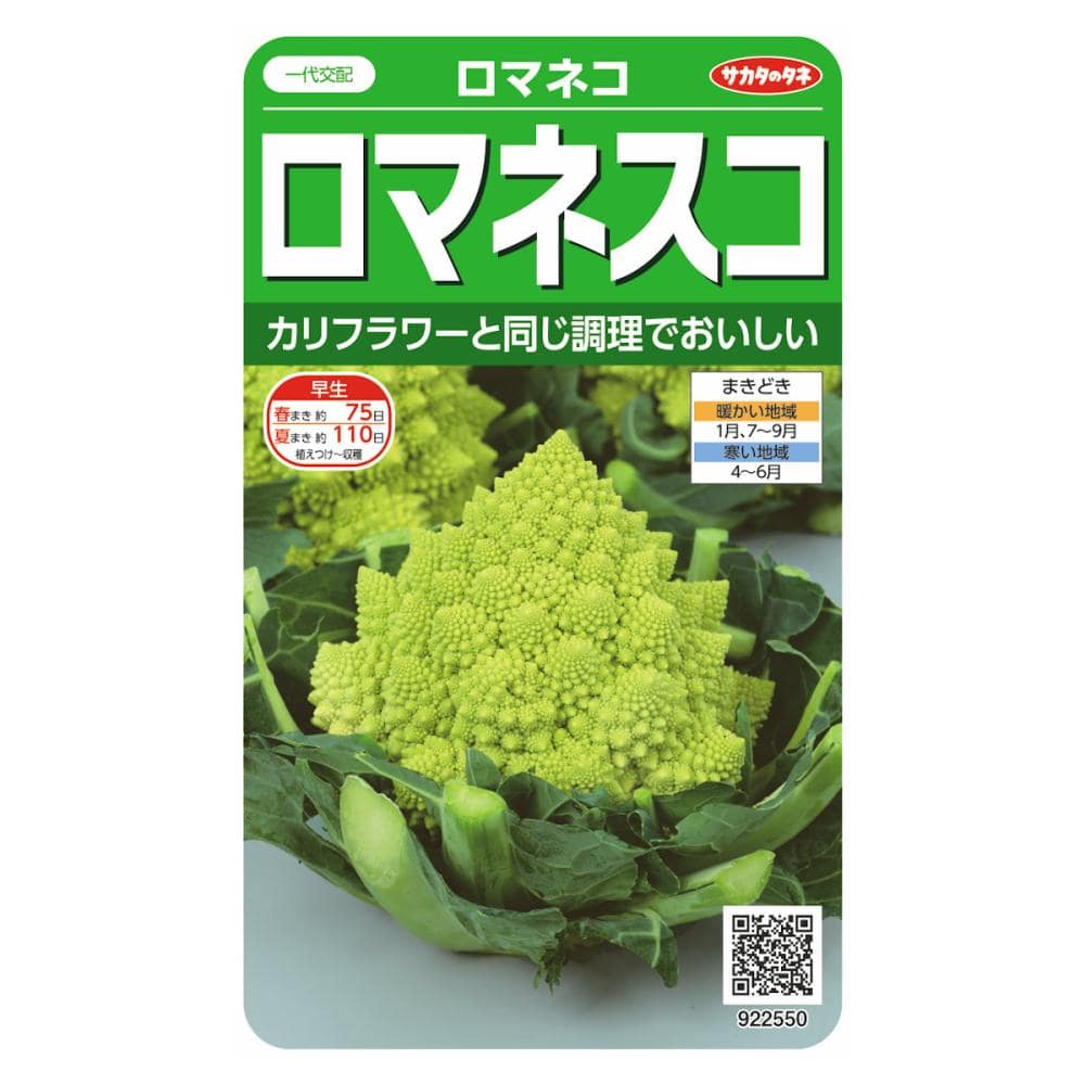 サカタのタネ　ロマネスコ種子　ロマネコ