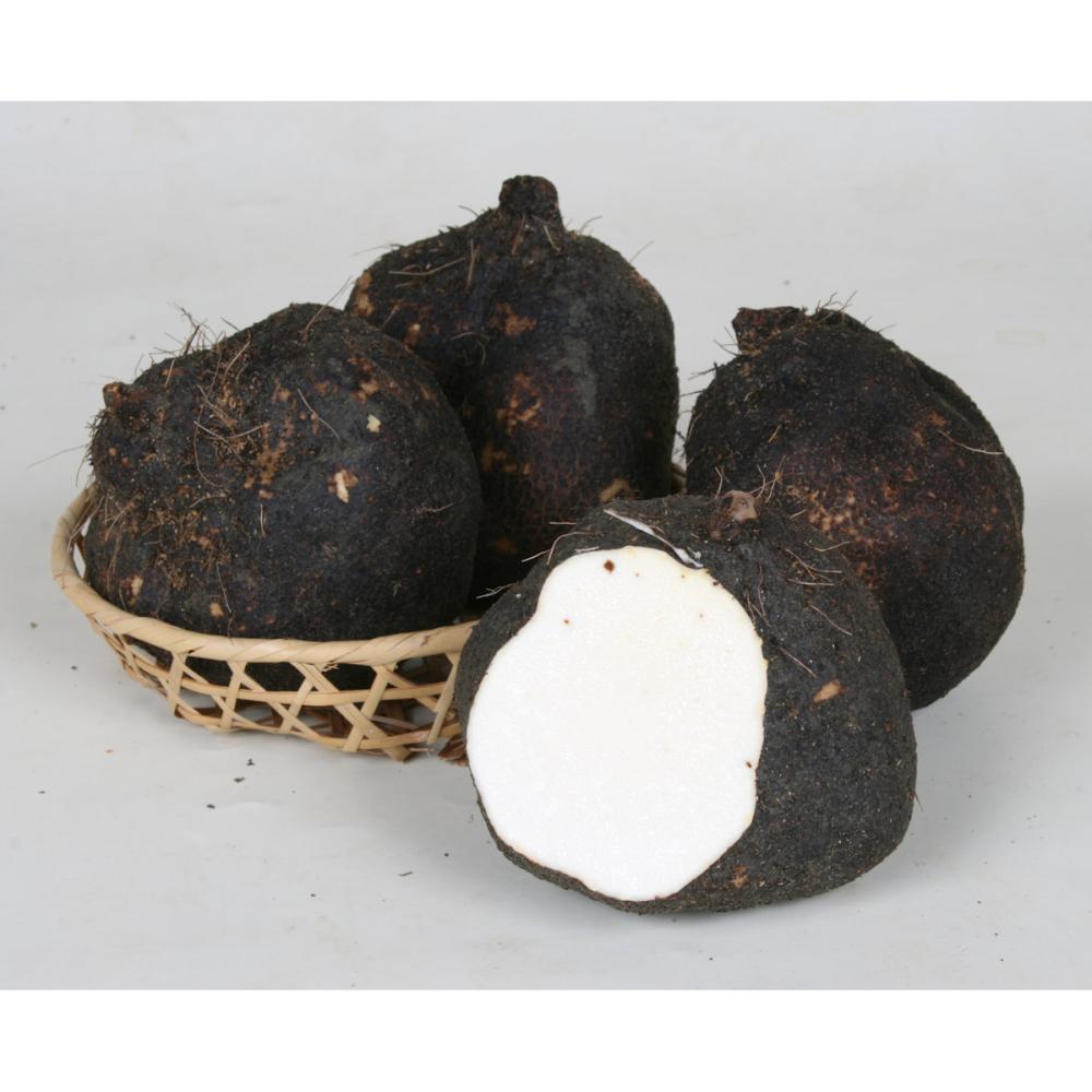 【野菜予約】　自然薯　丹波のヤマイモ　６００ｇ　（国産）　【申込期限：３月１日】