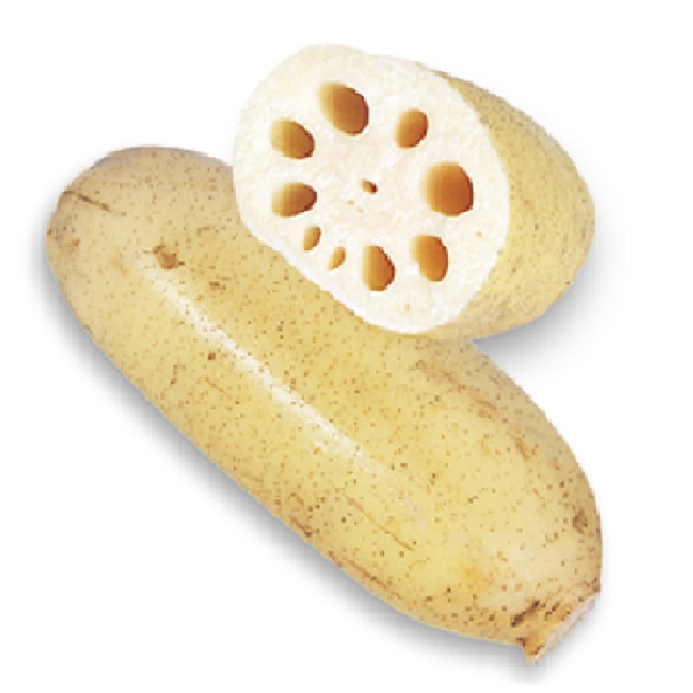 【野菜予約】　レンコン　備中　１ｋｇ　（国産）　【申込期限：３月１日】