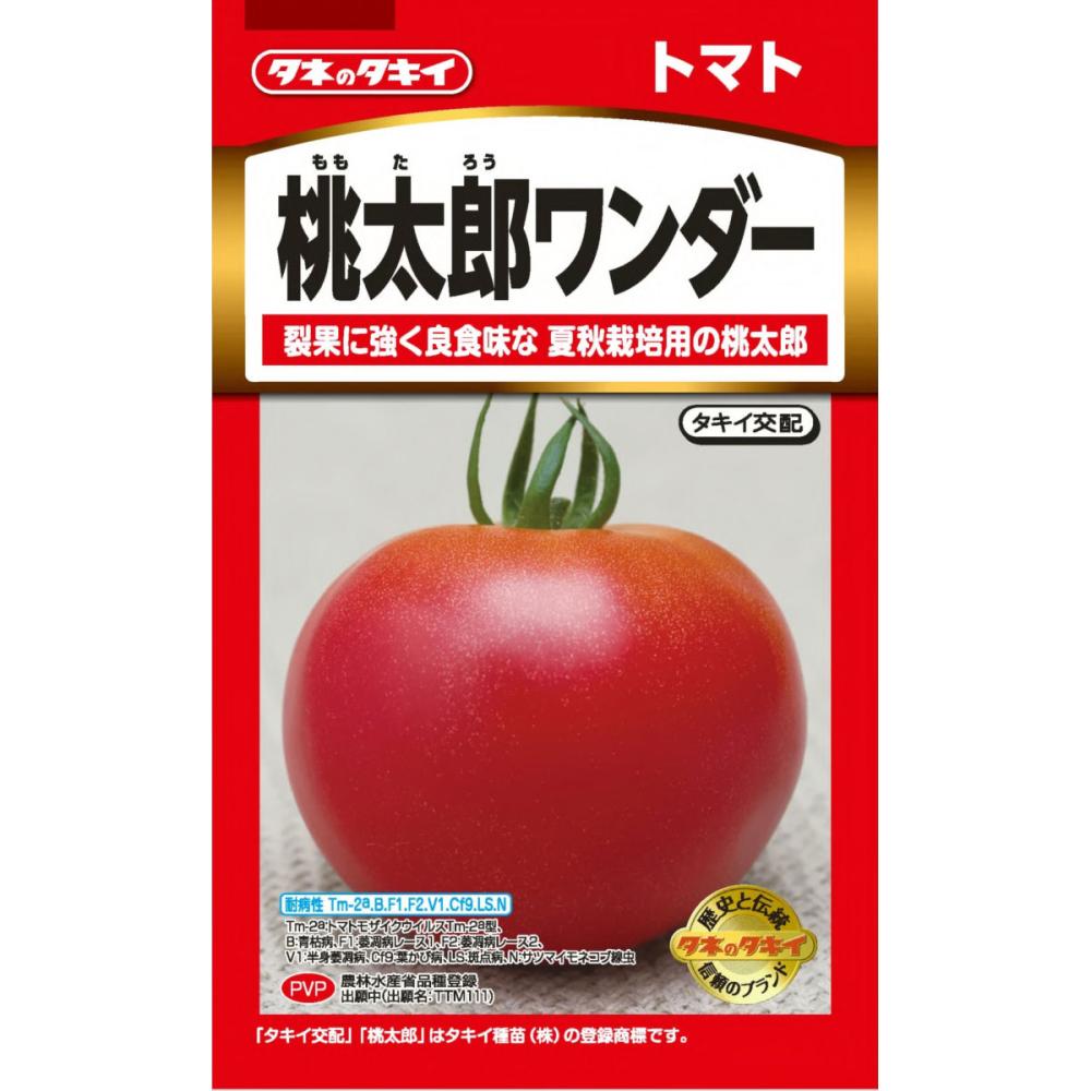 トマト種子　桃太郎ワンダー