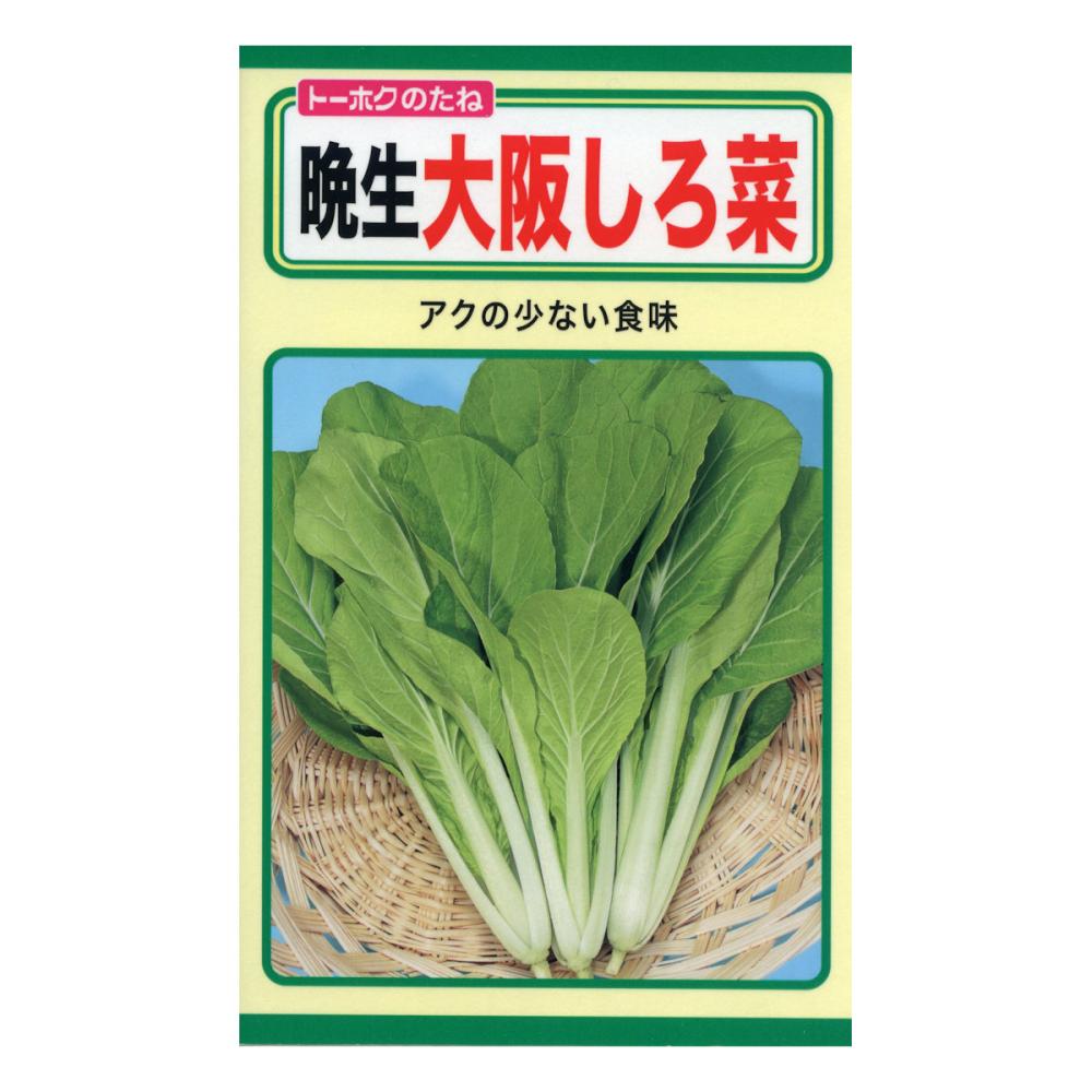種 野菜たね 菜類 てがる牛蒡 1袋(5ml) 野菜たね YTC71