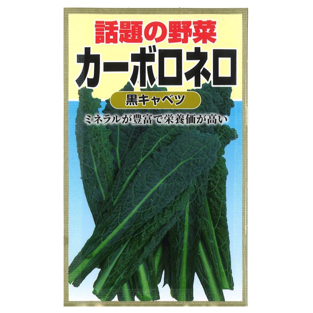 キャベツ種子　ちりめん黒キャベツ　カーボロネロ