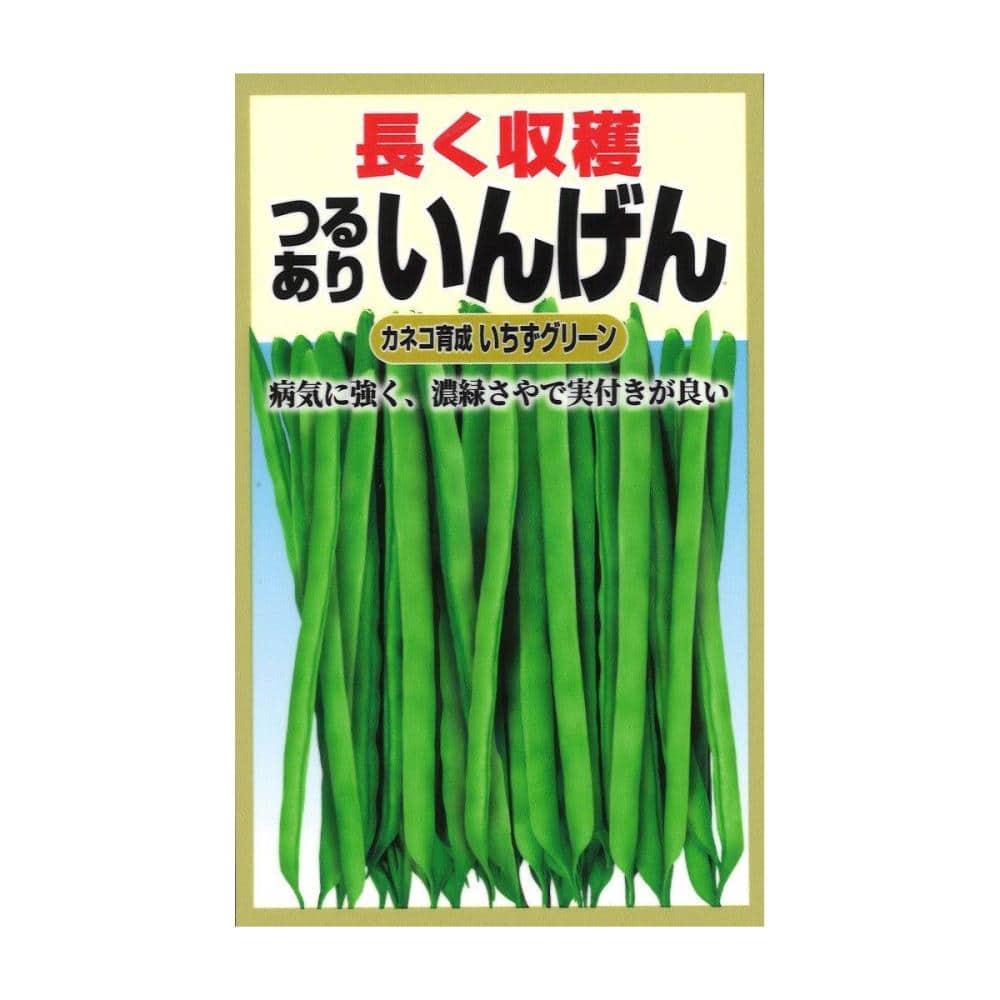 インゲン種子 つる有りいんげん いちずグリーンの通販 ホームセンター コメリドットコム
