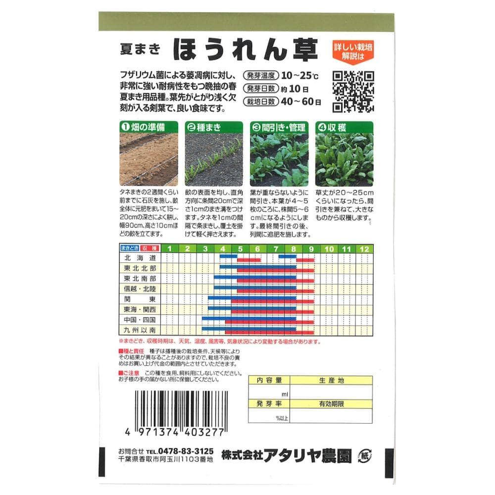 ほうれんそう出品 楽天市場】ほうれん草 【夏どりほうれん草】 種・小袋 （15ml