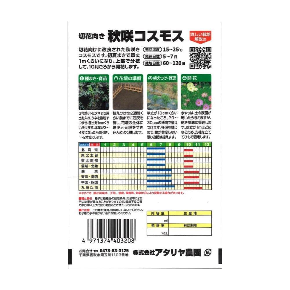 切花向き秋咲きコスモス