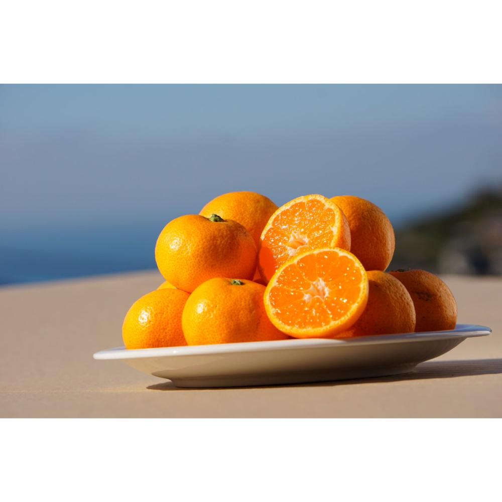 【注文期限：２０２５年１２月２５日】愛媛県産　かじ坊の八幡浜みかん　家庭用　約５ｋｇ（４５玉前後）