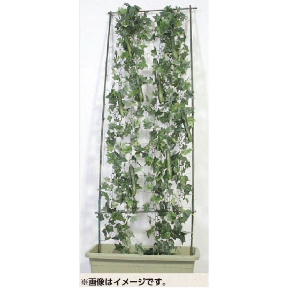 コメリ つる野菜栽培支柱セット ０ ６ １ ８ｍの通販 ホームセンター コメリドットコム