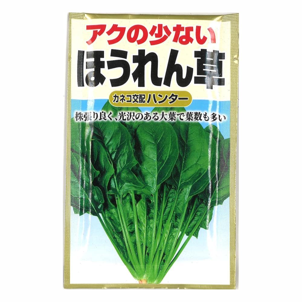 アクの少ない法蓮草　ハンター