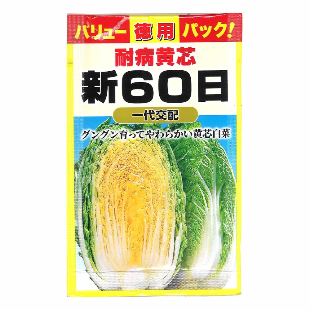 バリューパック　新６０日耐病黄芯白菜