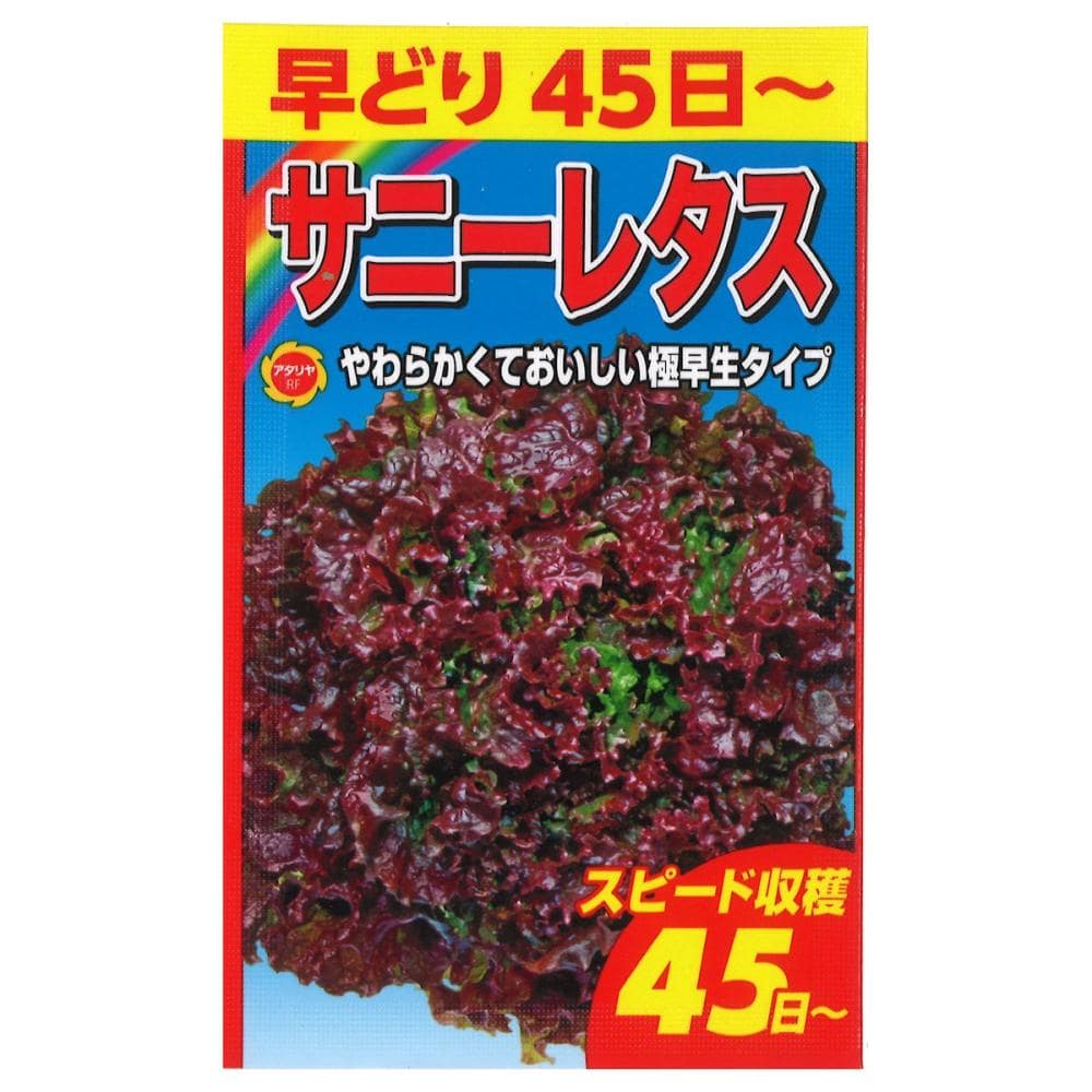 早どりサニーレタス