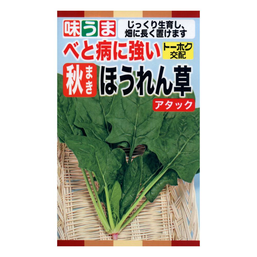 ホウレンソウ　アタック