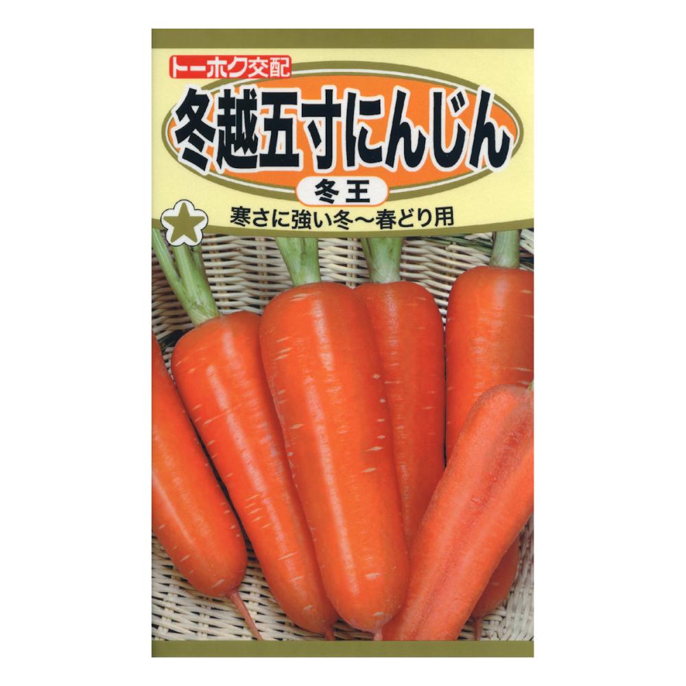 Ｆ１冬越五寸ニンジン　冬王