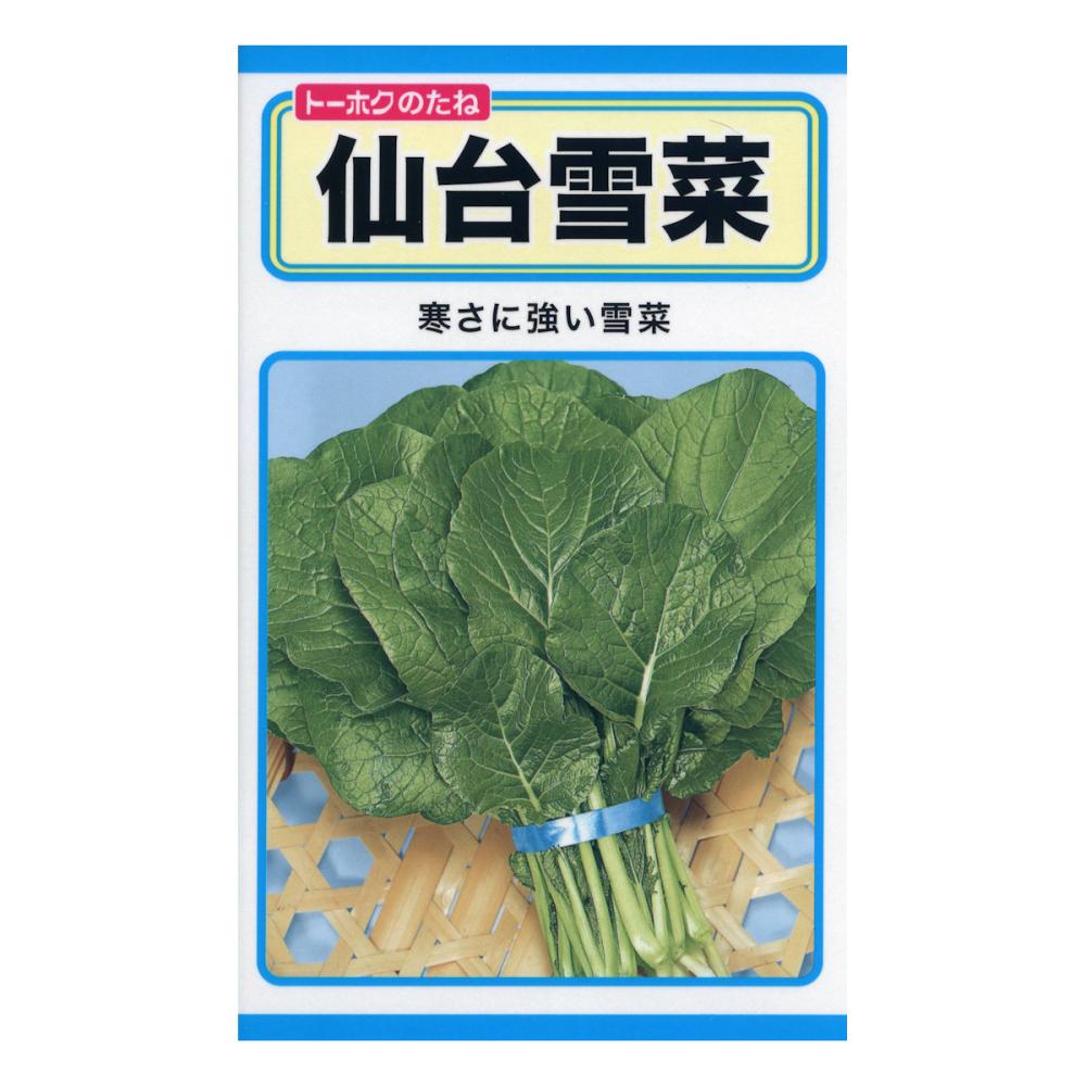 仙台雪菜