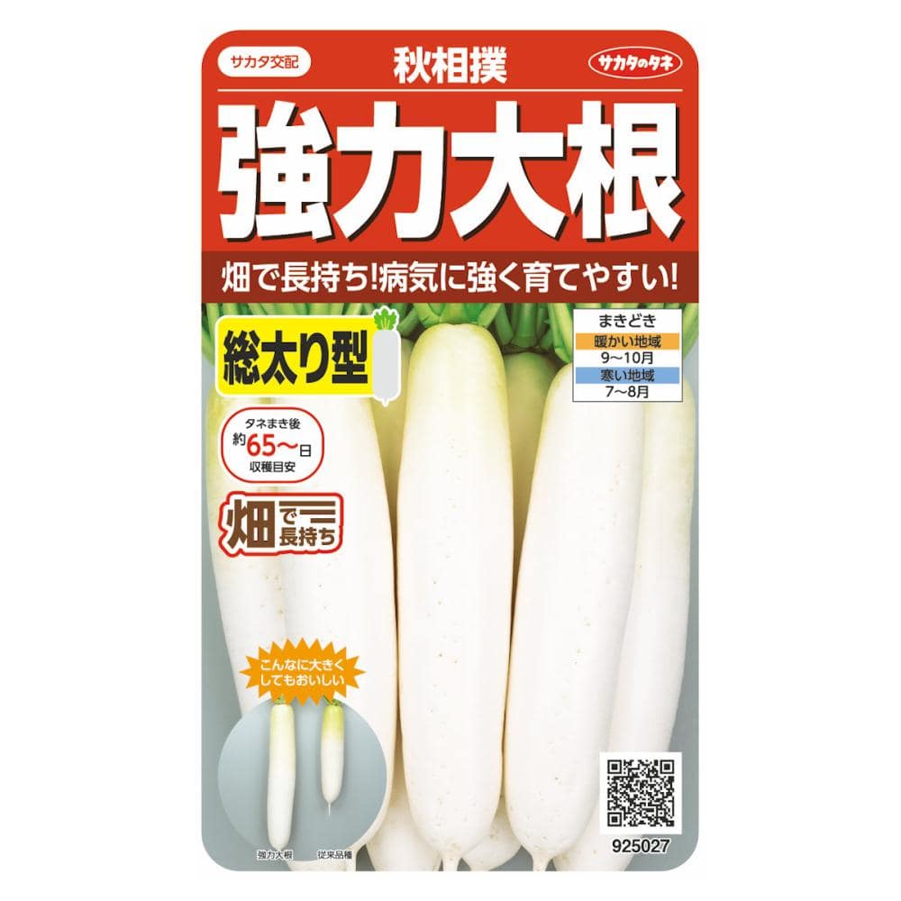ダイコン種子　強力大根秋相撲