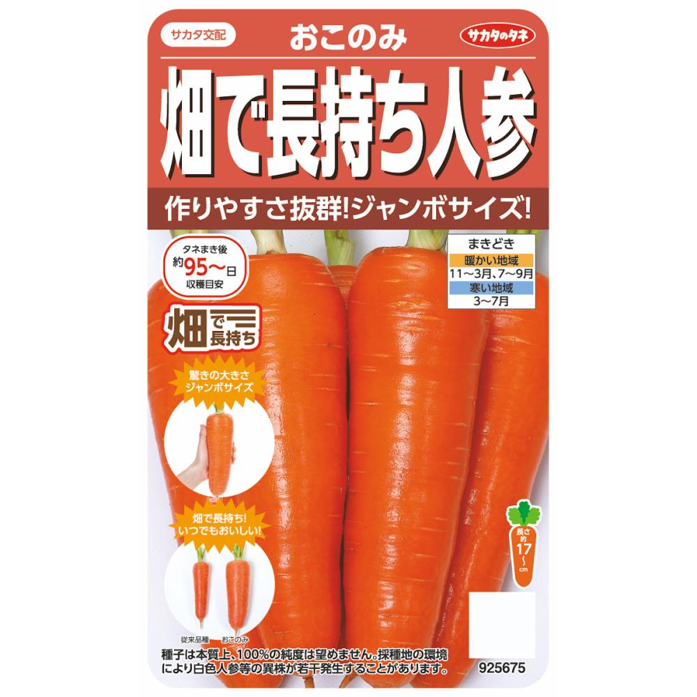 ニンジン種子　畑で長持ち人参おこのみ