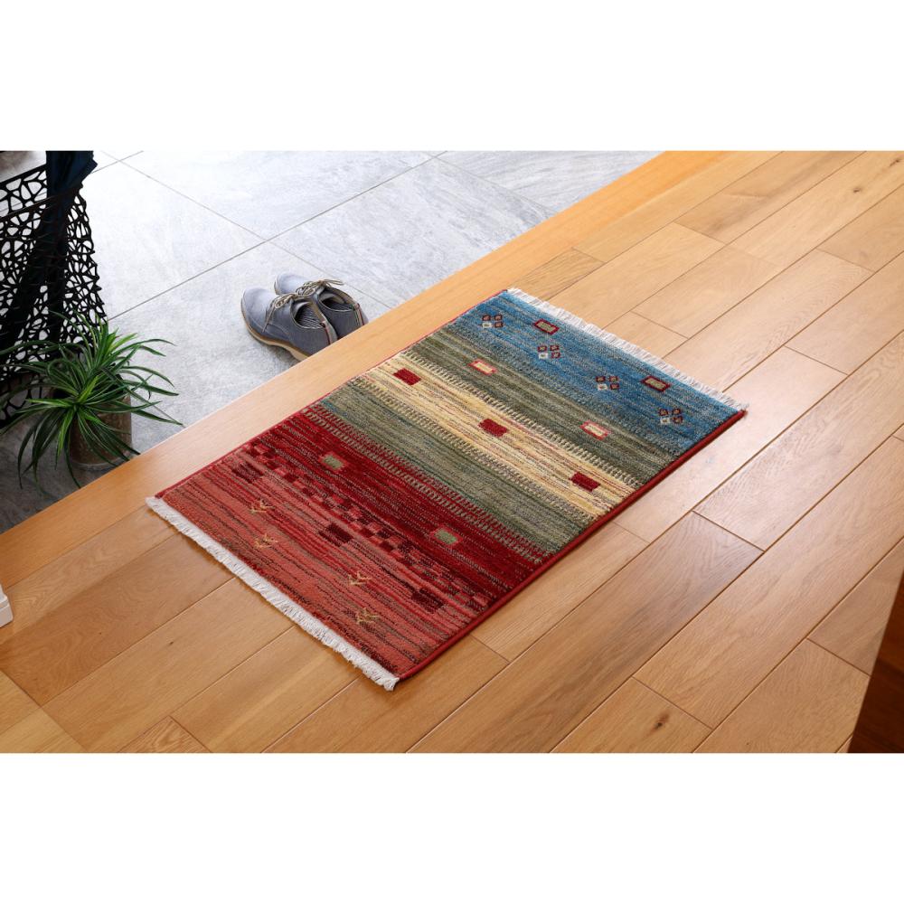 イケヒコ　玄関マット　トワル　５０×８０ｃｍ