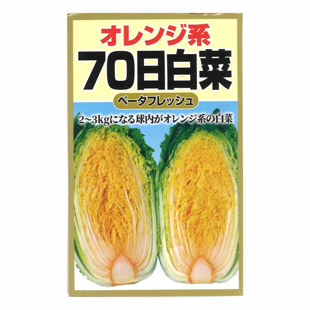 ハクサイ種子　オレンジ白菜