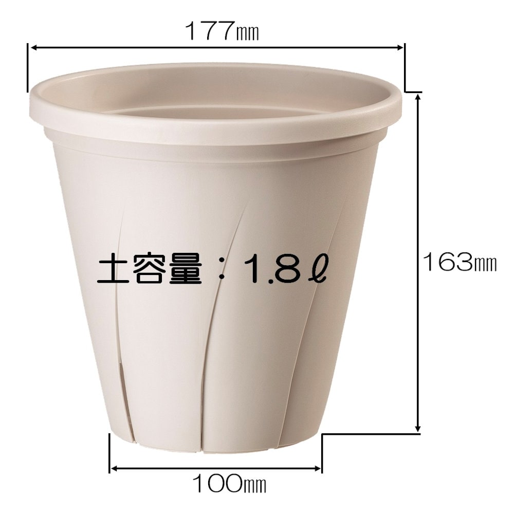 根はり鉢　ホワイト　６号