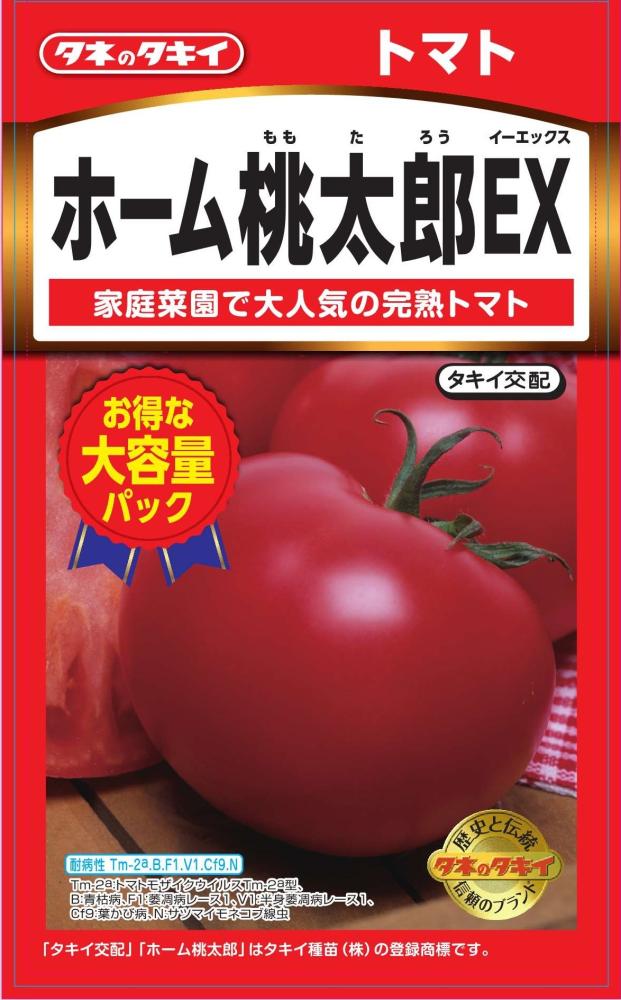 トマト種子　大容量パック　ホーム桃太郎ＥＸ