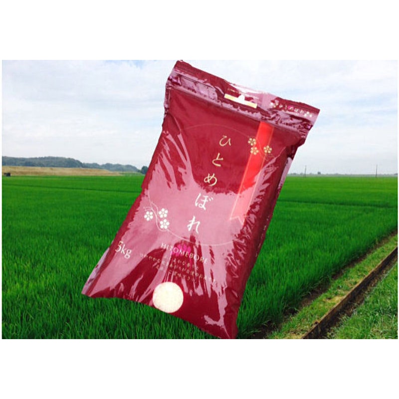 令和７年度　宮城県産　ひとめぼれ　精米５ｋｇ