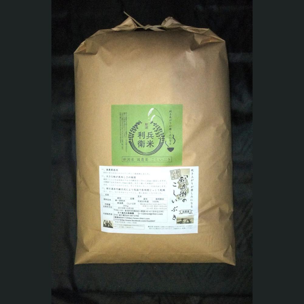 令和７年度　新潟県産こしいぶき　玄米５ｋｇ　★炊き上がりが楽しみになる利兵衛の減農薬米