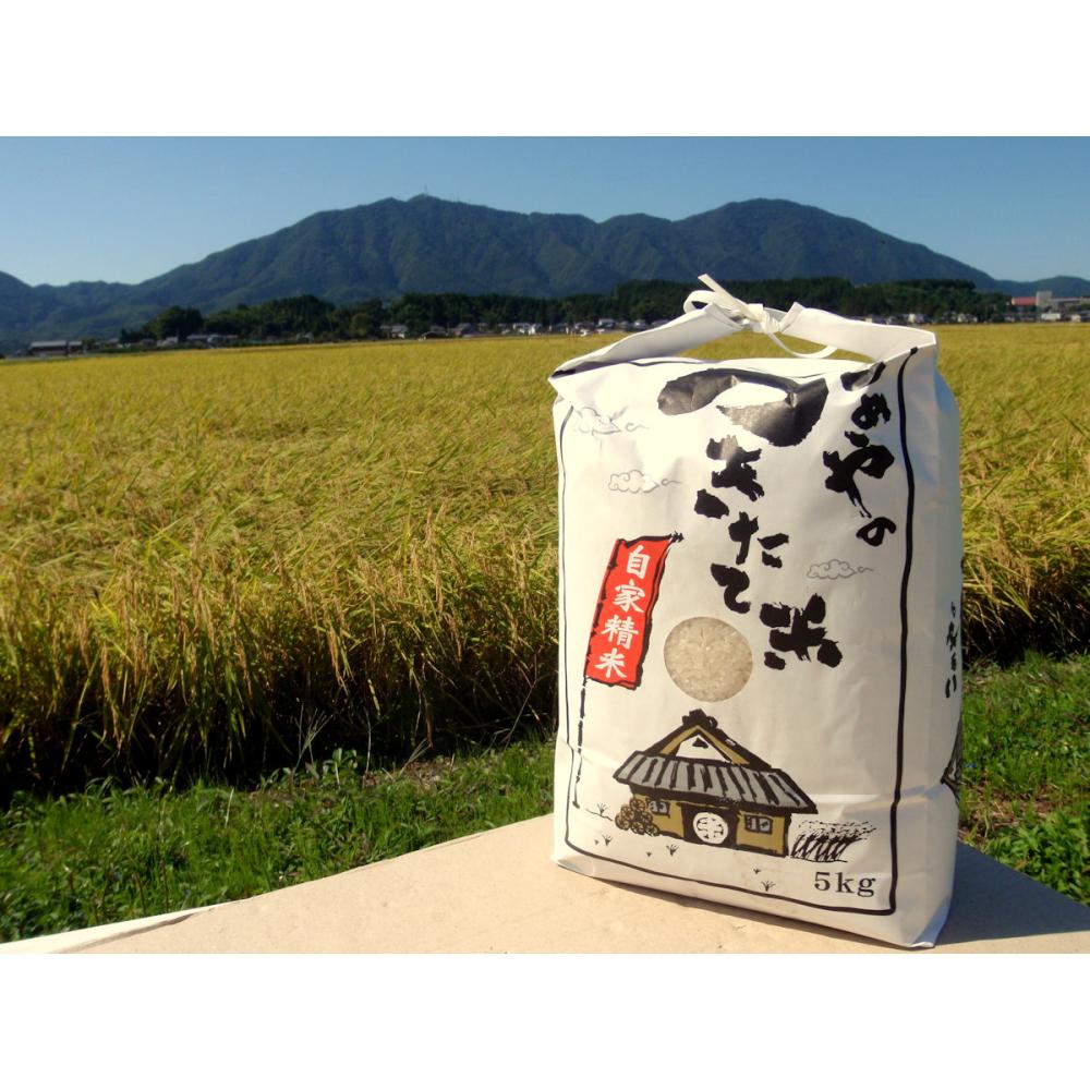 令和７年度　新潟県弥彦村産　石井農園のこだわりコシヒカリ　精米５ｋｇ