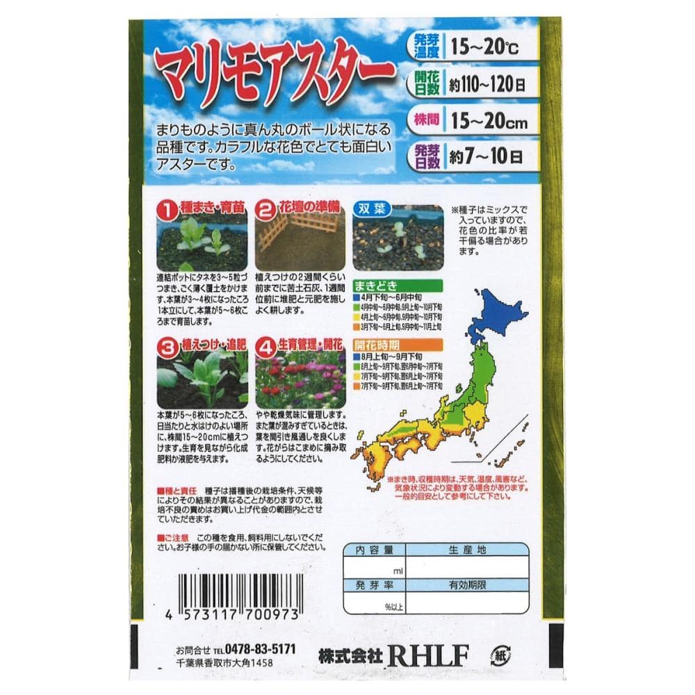 アスター種子　マリモのようにまーるい花姿！　マリモアスター