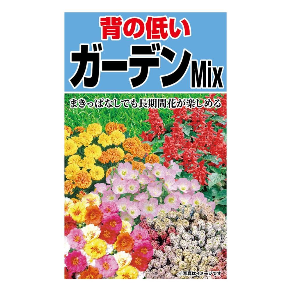 背の低いフラワーガーデンＭｉｘ