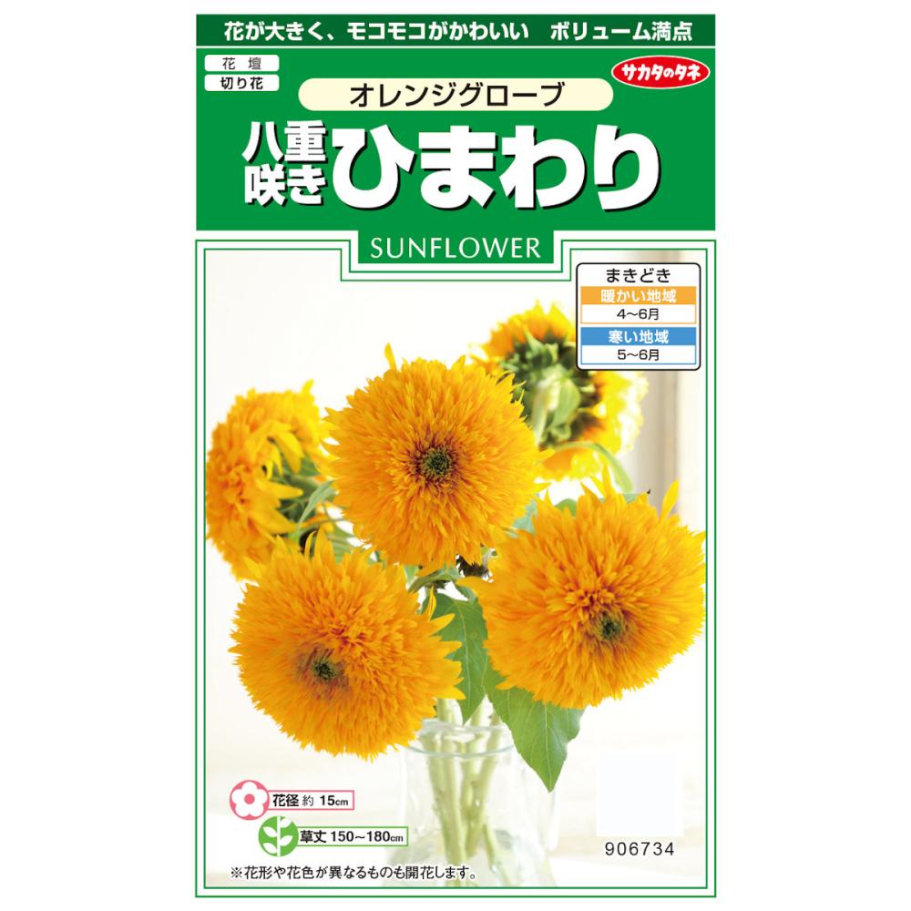花の種 八重咲きひまわり オレンジグローブの通販 ホームセンター コメリドットコム