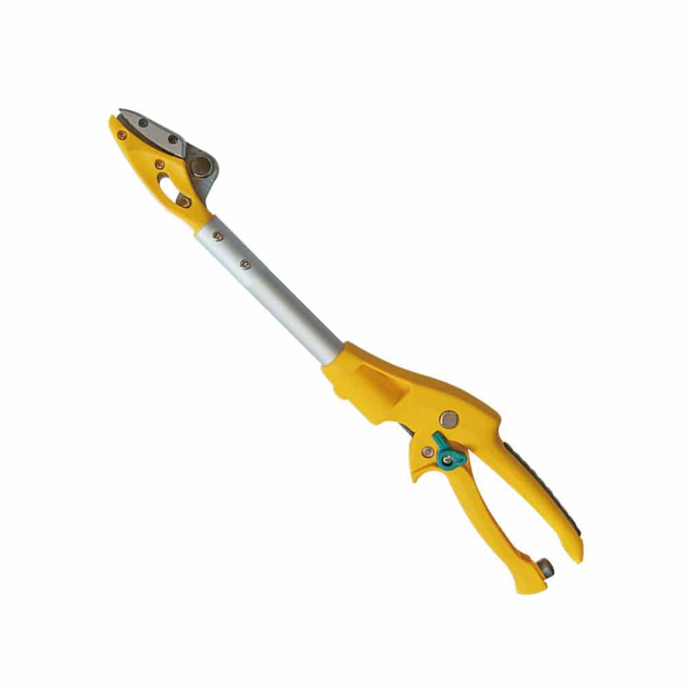 ４０ｃｍ