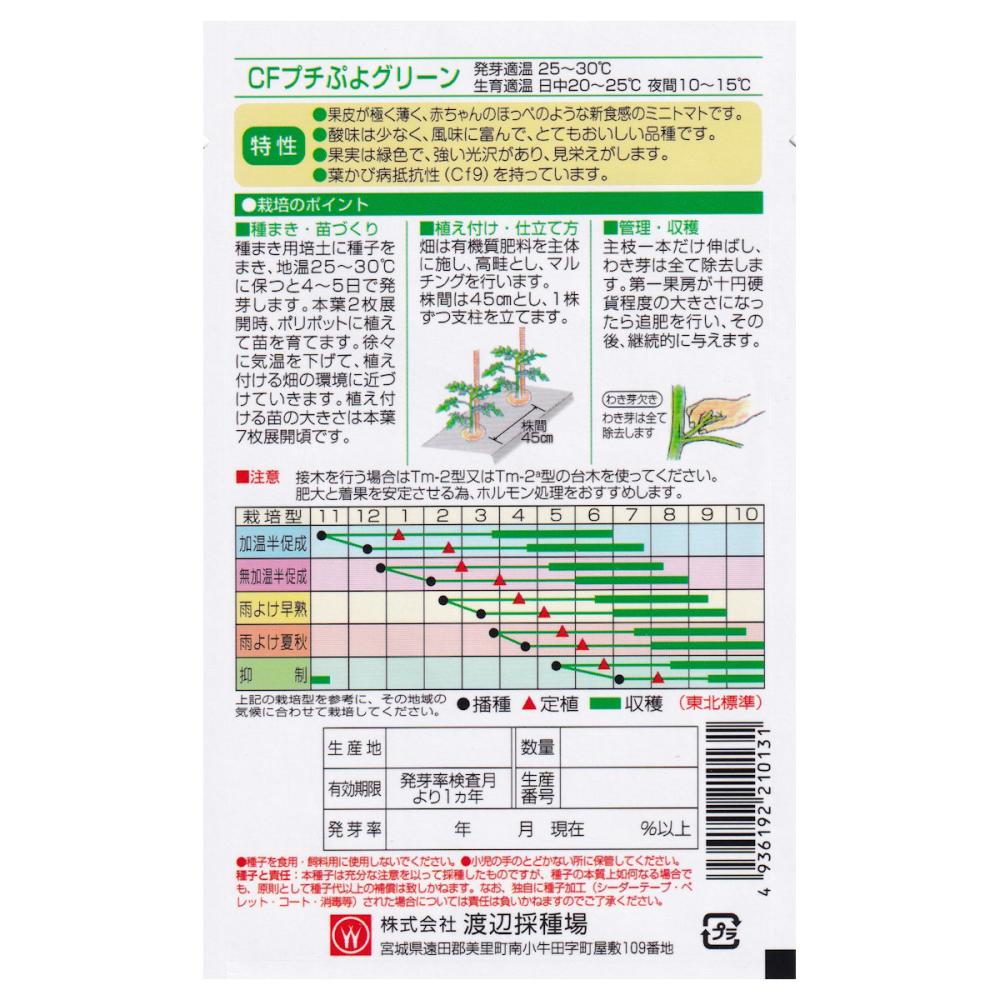 【宅配専用】　ミニトマト種子　プチぷよ　グリーン