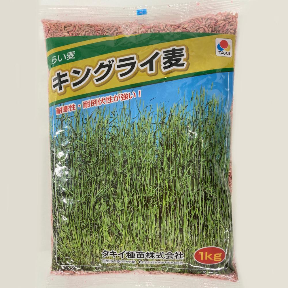 【緑肥種子】　らい麦　キングライ麦　１ｋｇ　５袋単位　店着送料不要
