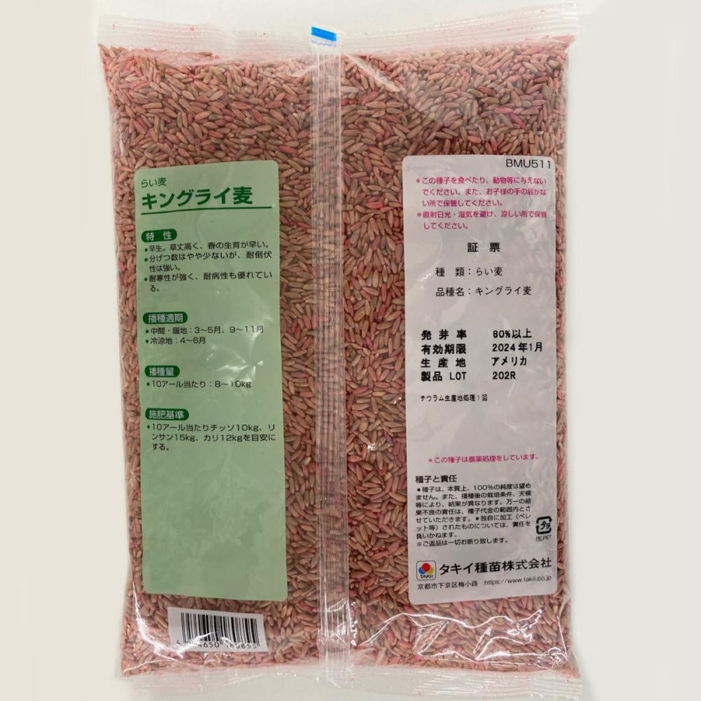 【緑肥種子】　ライ麦　キングライ麦
