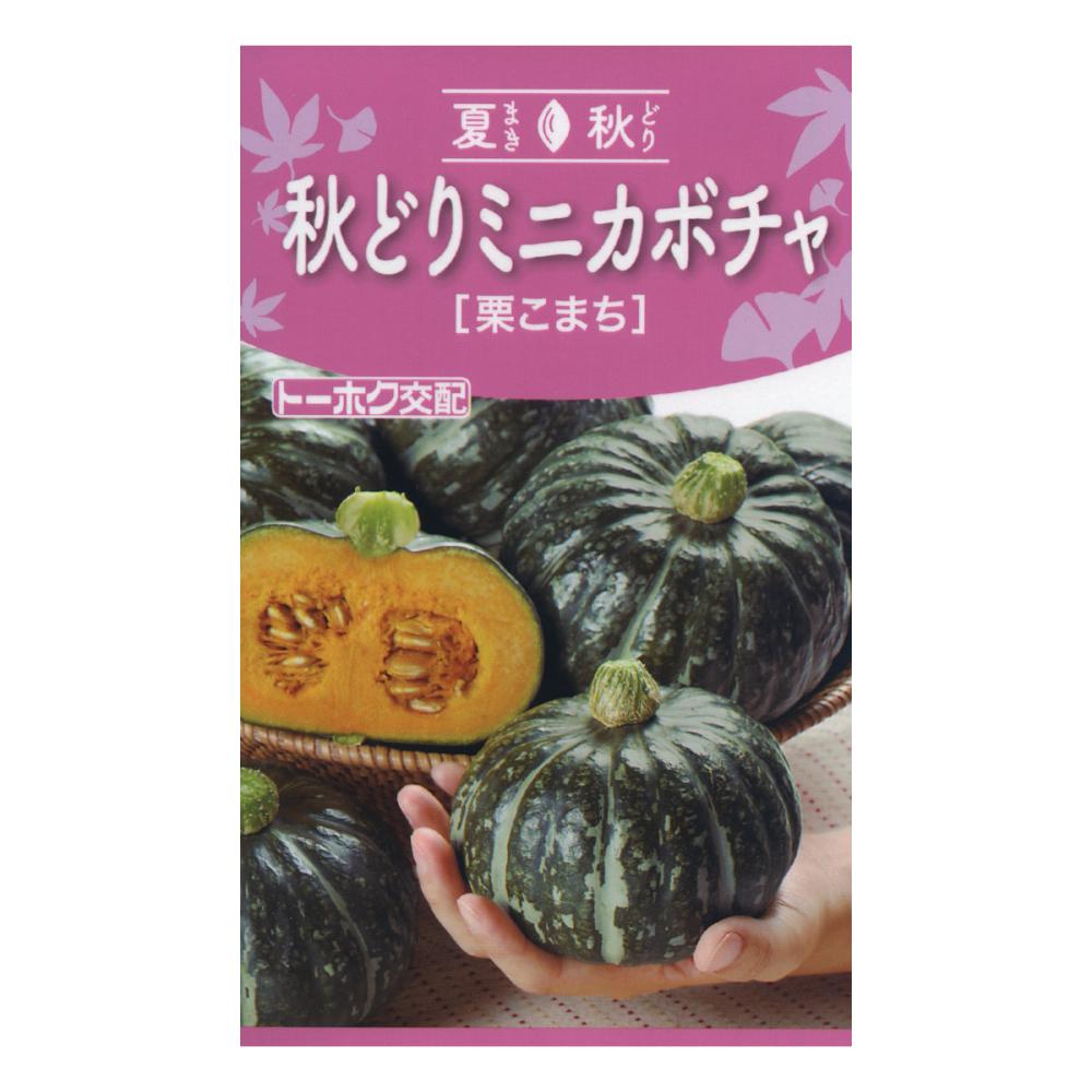 F1 冬至かぼちゃ 里の味 の通販 | ホームセンター コメリ