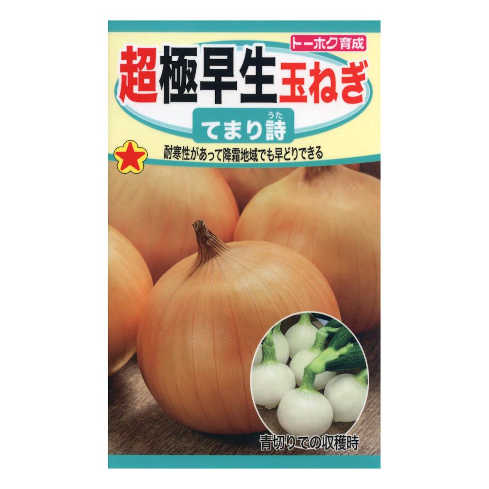 超極早生玉ねぎ　てまり詩
