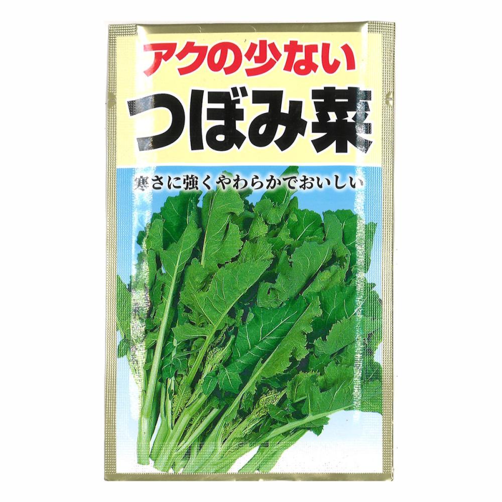 つぼみ菜
