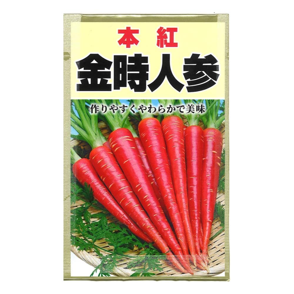 金時人参